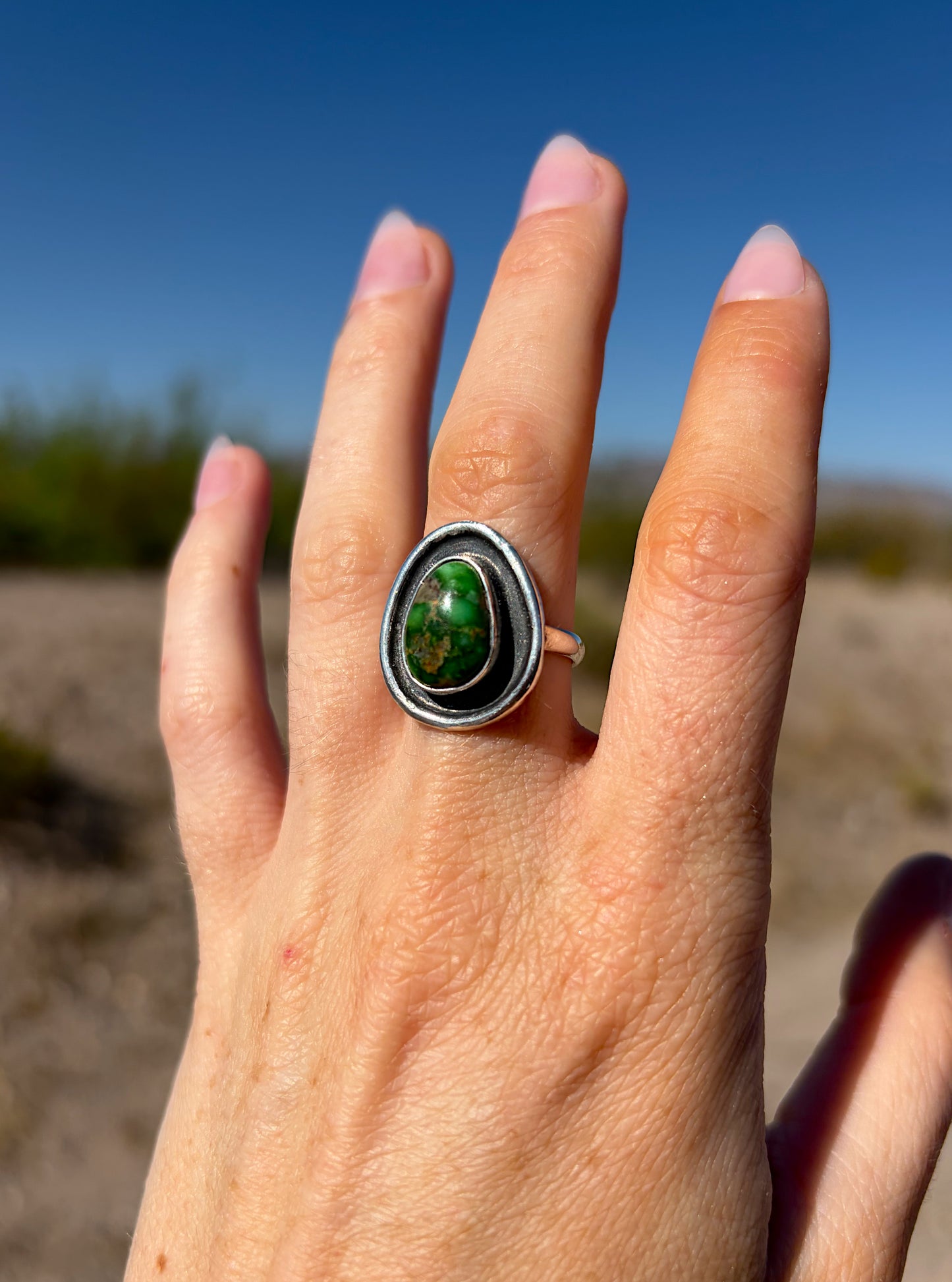 Carico lake ring