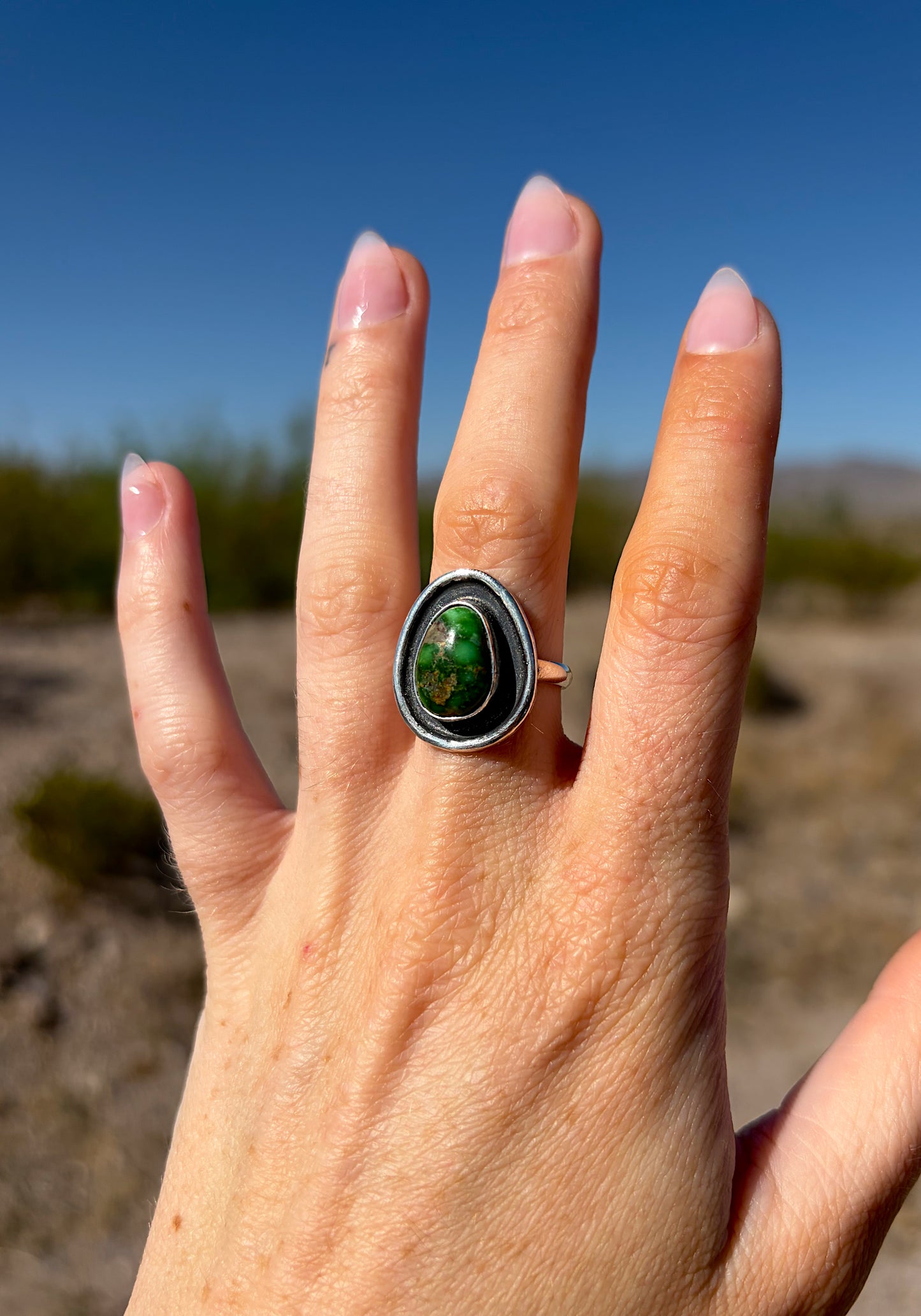 Carico lake ring